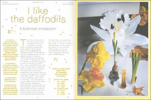 Pleasant Place Magazine Issue 7 - Daffodils