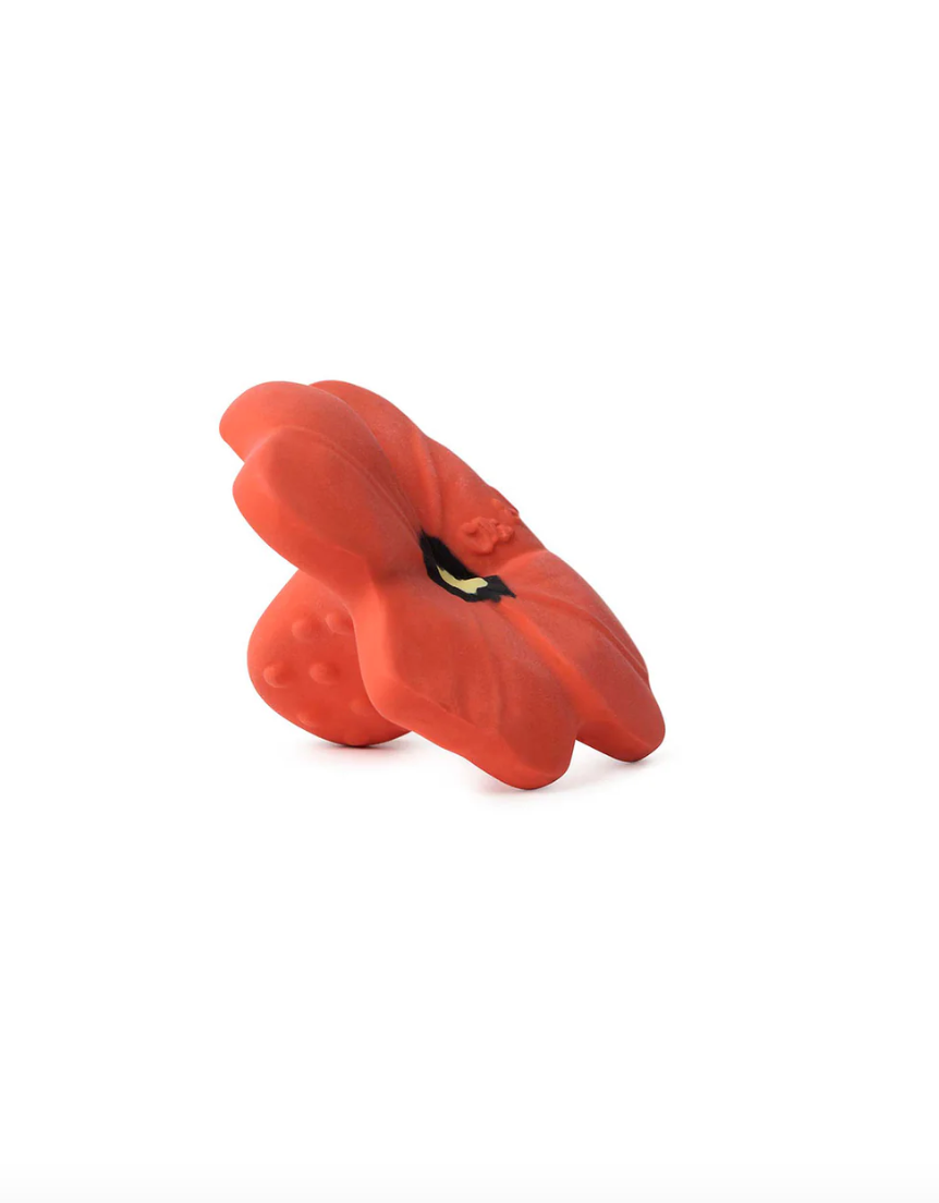 Oli & Carol Baby Teethers and Bath Toys