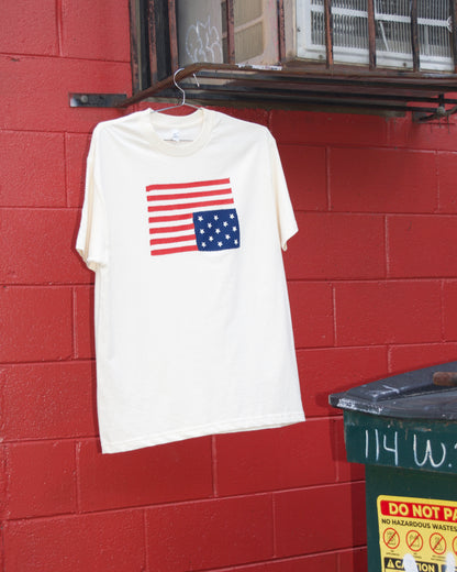 Ripped Flipped Ralph Flag Tee | Odd Bird's Tourist Trap