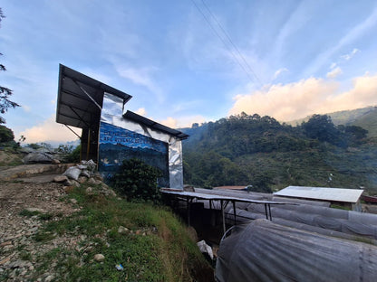 Recluse El Mango Natural Coffee Beans