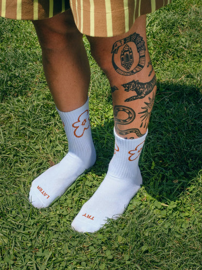 Tarta Gelatina Socks