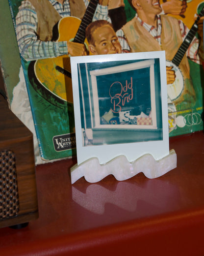 polaroid squiggle stand | special edition
