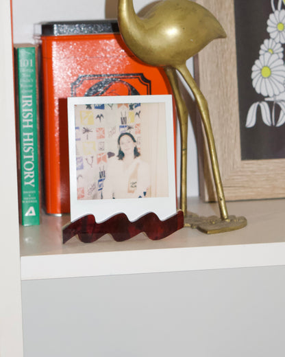 polaroid squiggle stand | special edition