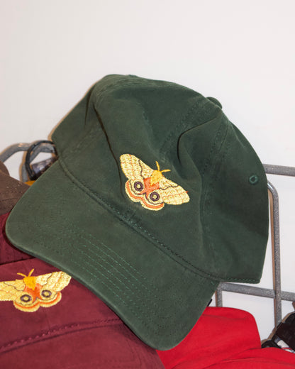 Moth Hat