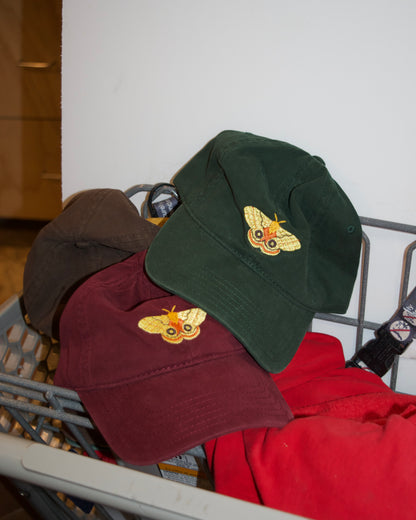 Moth Hat