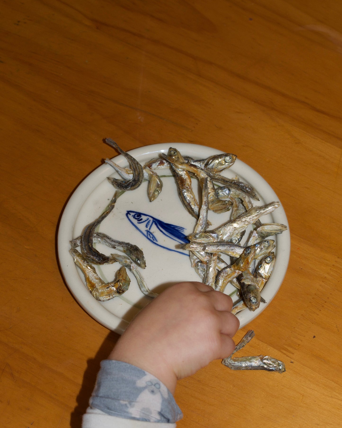 sardine plate