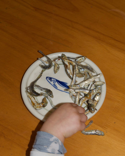 sardine plate
