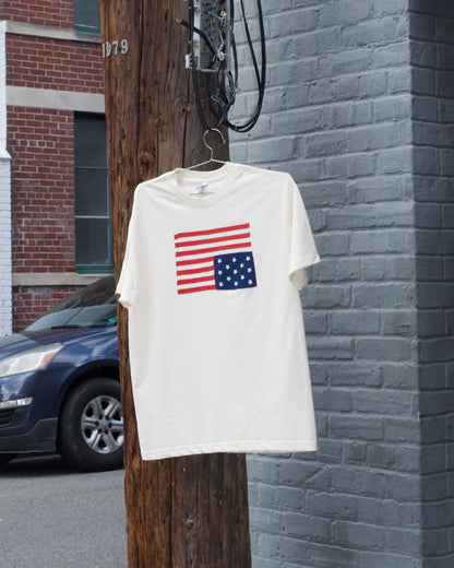 Ripped Flipped Ralph Flag Tee | Odd Bird's Tourist Trap