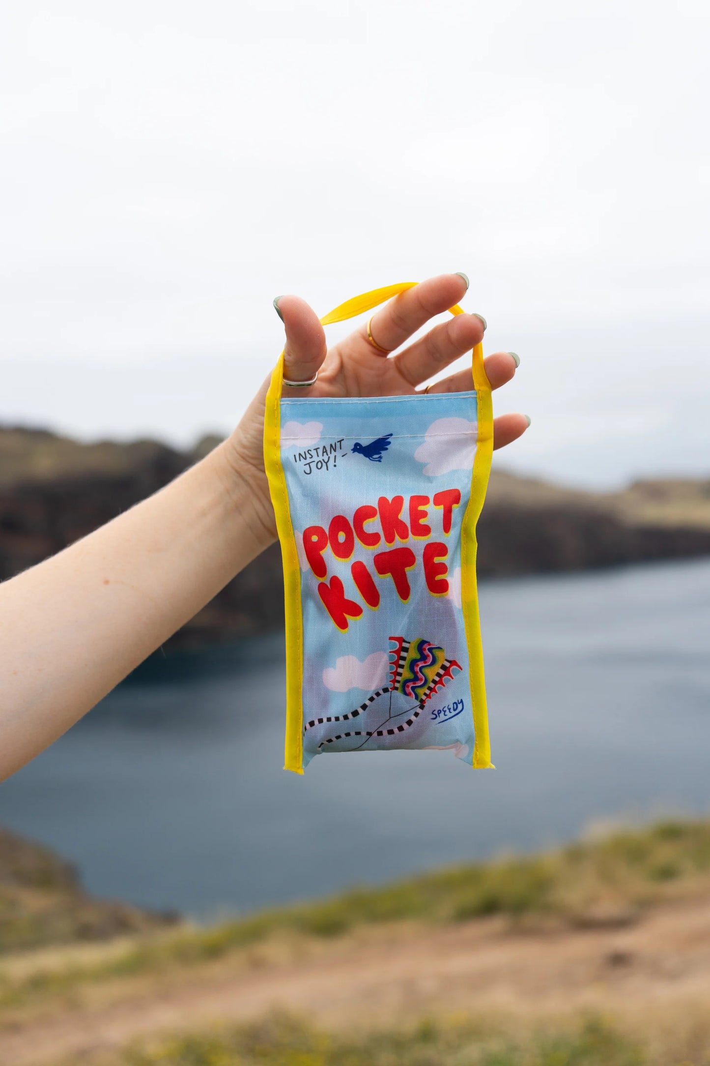 State the Label Pocket Kites