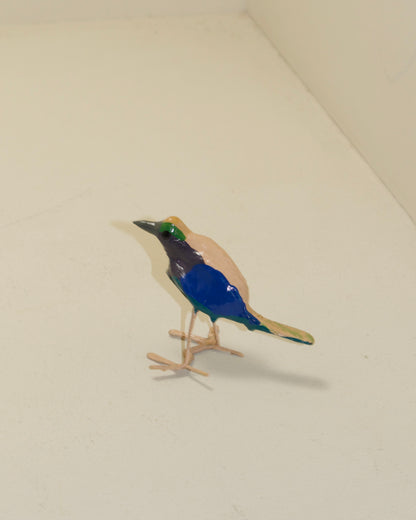 Seedpod Birds