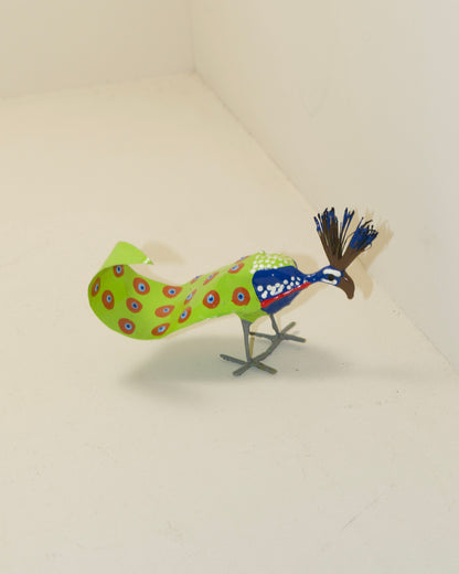 Seedpod Birds