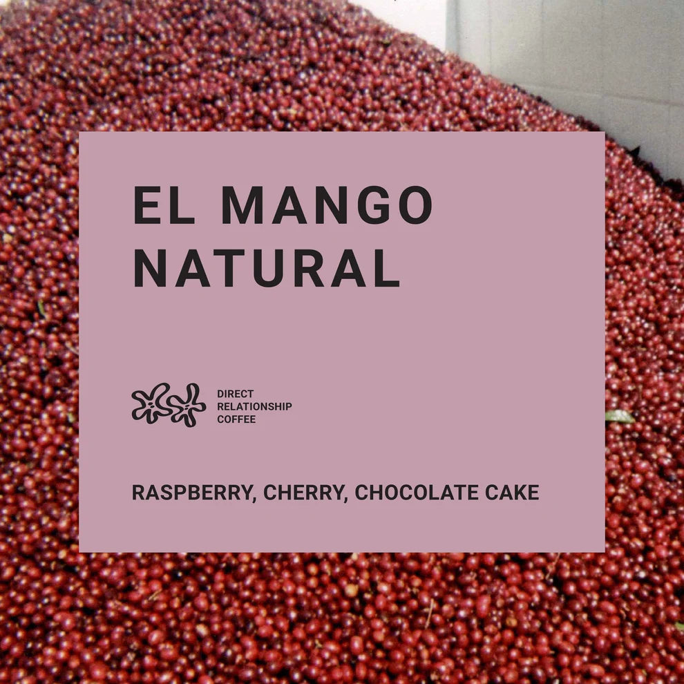 Recluse El Mango Natural Coffee Beans
