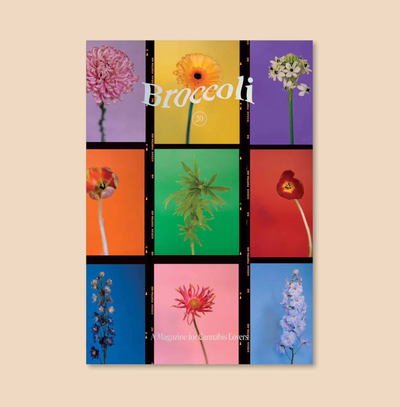 Broccoli Magazine Issue 20