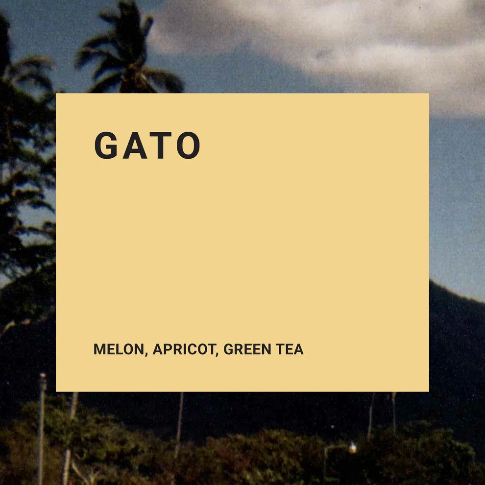 Recluse Gato Coffee Beans