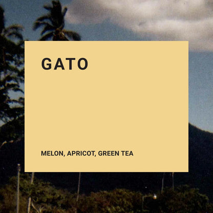 Recluse Gato Coffee Beans
