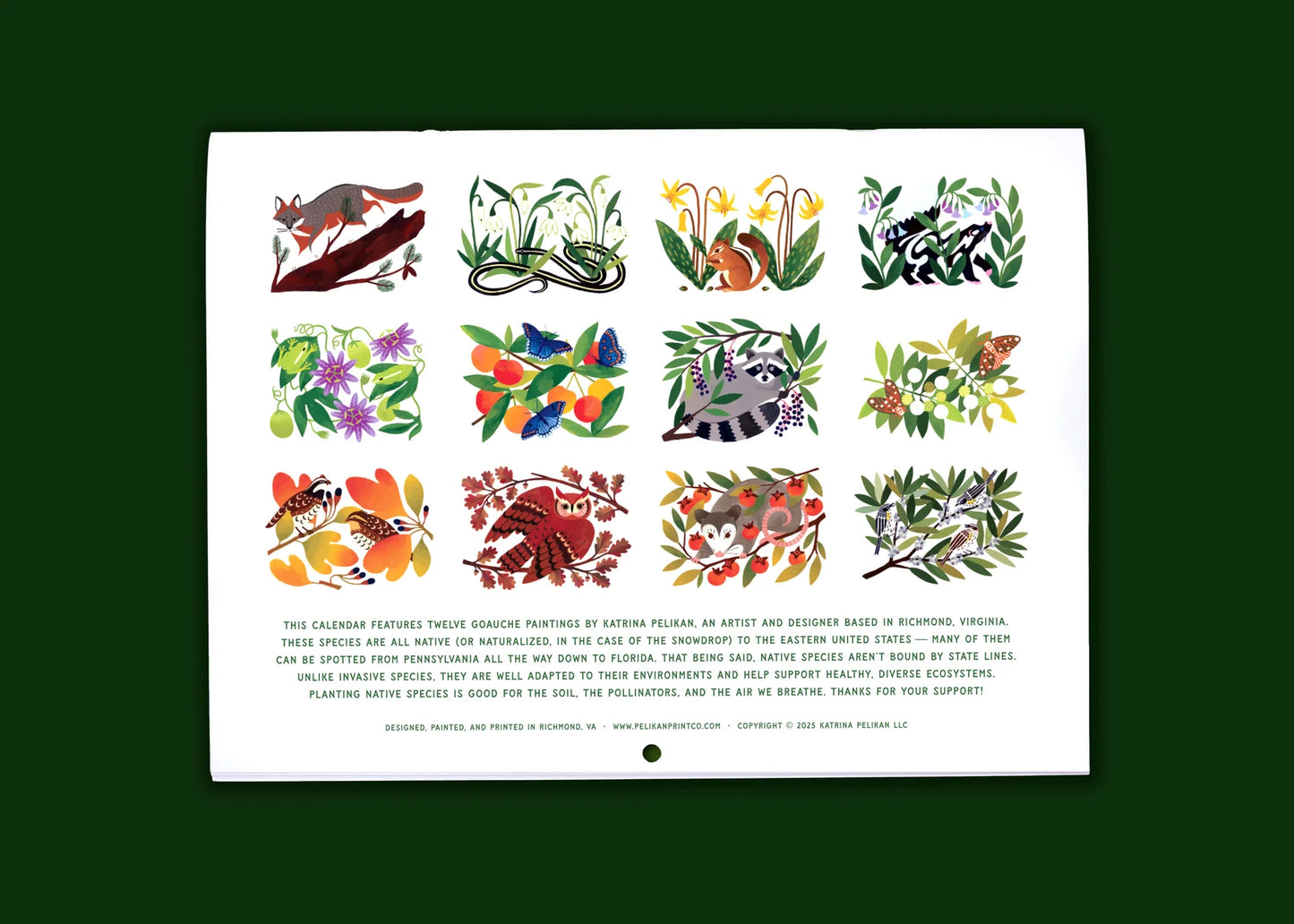 Pelikan Print Co 2026 Calendar