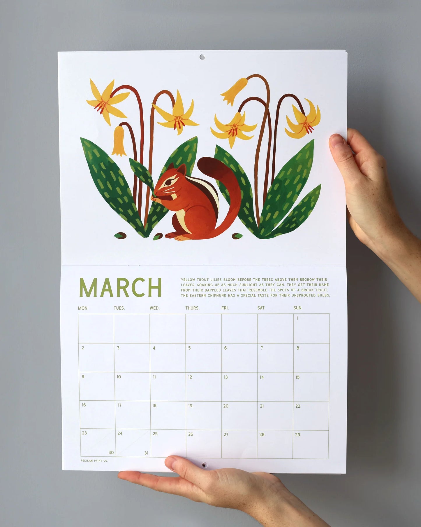 Pelikan Print Co 2026 Calendar