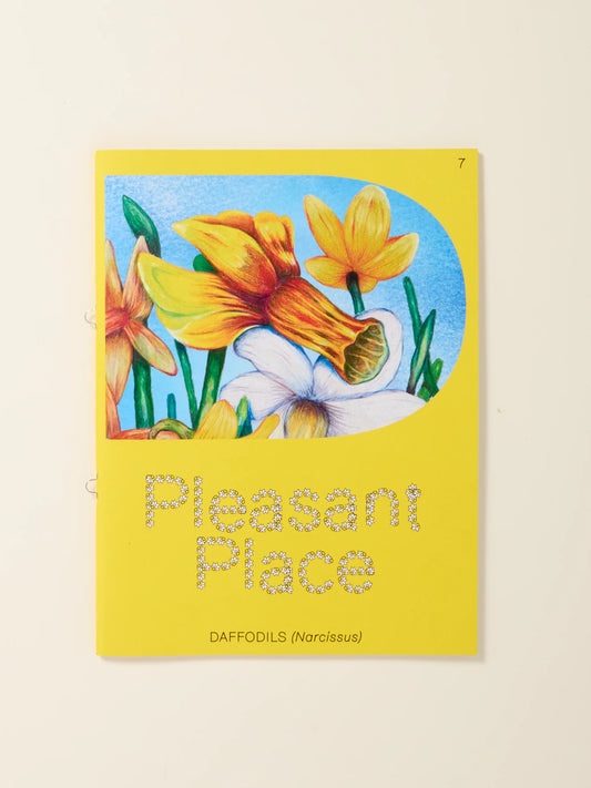 Book cover with daffodil illustration and 'Pleasant Place' text on a background