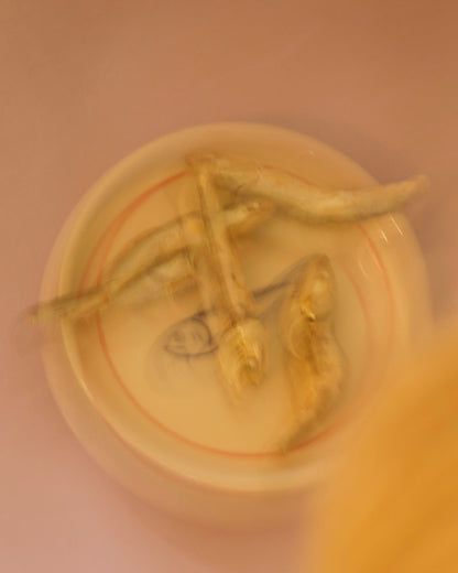 sardine plate