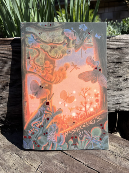 Mcsweeney’s Issue 81