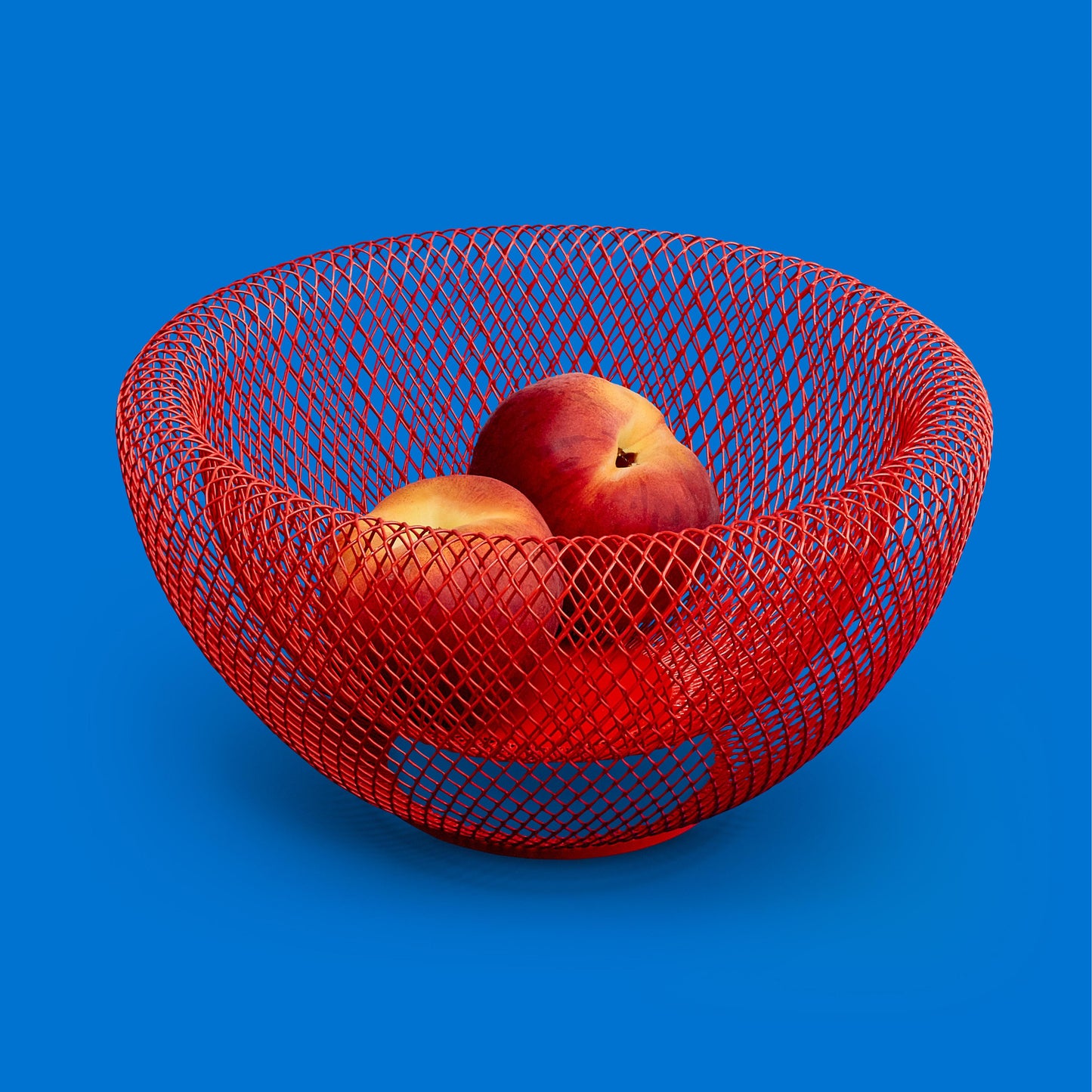 Wire Mesh Fruit Bowl