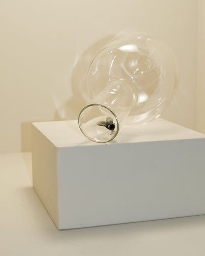 French Fly Carafe
