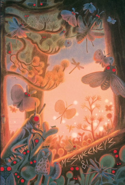 Mcsweeney’s Issue 81
