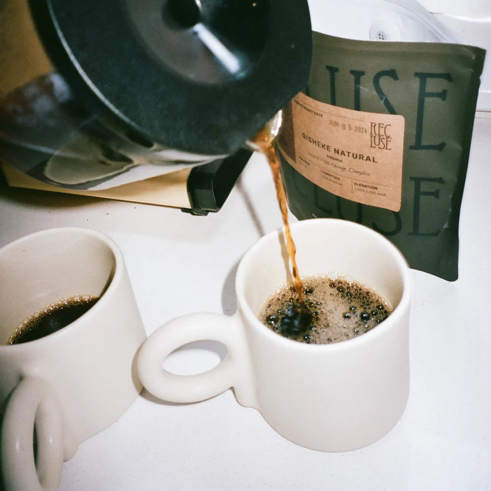 Recluse Gato Coffee Beans